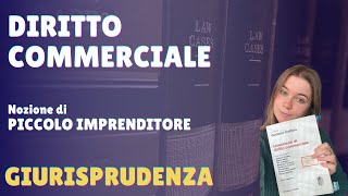 IL PICCOLO IMPRENDITORE  diritto commerciale GIURISPRUDENZA [upl. by Staw]