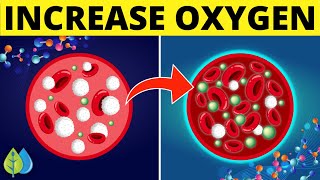 9 Ways to Increase Blood Oxygen Levels Naturally  How to Increase Oxygen Level in Body [upl. by Sumetra]