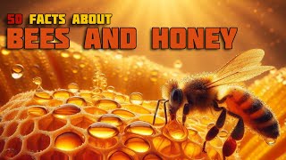 50 facts about Bees and Honey [upl. by Aicillyhp]