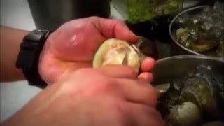 Super fast and easy how to shuck clam [upl. by Ariek73]