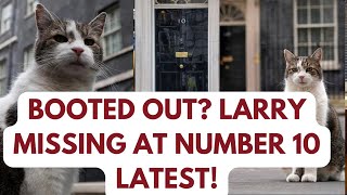 DOWNING STREET LARRY TOTALLY DISAPPEARS WHAT HAPPENED  larrythecat downingstreet keirstarmer [upl. by Esereht979]