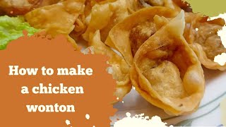 Expert Chicken Wonton Recipe  Fried chicken wonton recipe [upl. by Notwen552]