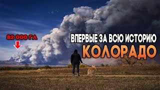 82 000 га леса  ГОРИТ в Колорадо  Calwood Fire  Colorado fire  Впервые такое в истории штата [upl. by Montagu]