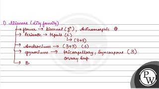 Which of the following is the correct floral formula of Liliaceae [upl. by Nae944]