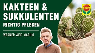 Kakteen und Sukkulenten richtig pflegen [upl. by Iveson758]