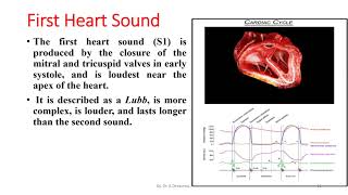 Heart Sounds  Phonocardiogram [upl. by Gambrill]