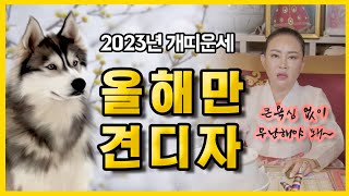 설연화별상장군 부산유명한점집 2023년 개띠운세 계묘년 띠별운세 94년생 82년생 70년생 58년생신점잘보는곳 [upl. by Ardella602]