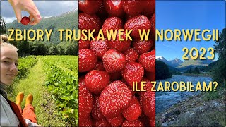 Ja emigrant  czyli życie i praca w Norwegii  5 góry w Nes  zwiastun [upl. by Leoine932]