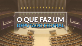 O QUE FAZ UM DEPUTADO FEDERAL [upl. by Ilera]