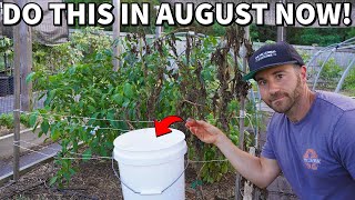 4 Critical August Garden Tasks Every Gardener Should Do NOW [upl. by Ettennahs]