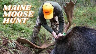 EPIC Maine Moose Hunt Hunting and Camping off grid in remote Maine [upl. by Kristan376]