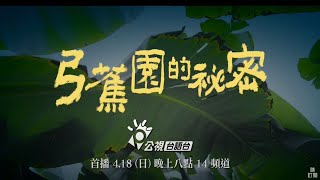 我們的愛情與自由 是不能說的秘密《弓蕉園的秘密​​》｜418公視臺語台首映 [upl. by Pahl126]