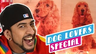 Dog Lovers Special  International Mutts Day [upl. by Juta]