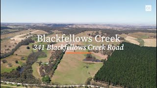 341 Blackfellows Creek Road Blackfellows Creek  For Sale [upl. by Ecnarwal]