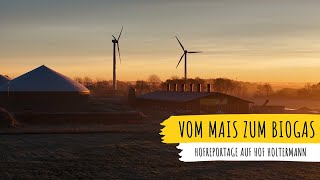 Vom Mais zum Biogas  Hofreportage auf Hof Holtermann [upl. by Nowahs]