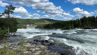 Amazing Storforsen  The largest waterfall in Sweden  July 2024 [upl. by Karr68]