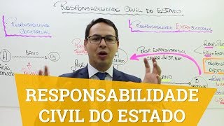 Responsabilidade Civil do Estado [upl. by Wehrle963]