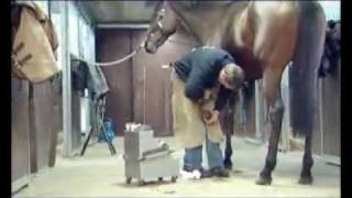 Vitafloor® computerized vibrating floor system for horses [upl. by Camella754]