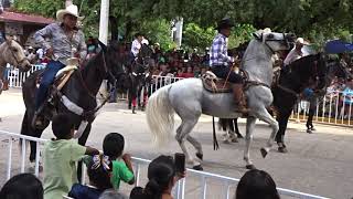 Cocula Guerrero Desfile Del 167 aniversario [upl. by Leonard]