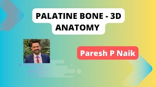 Palatine Bone Anatomy of the Nasal Cavity  3D anatomy [upl. by Usanis677]