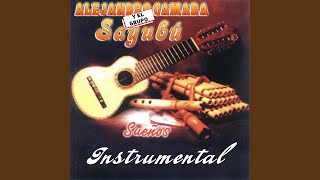 Nevando Esta feat Grupo Sayubú Instrumental [upl. by Oisor]