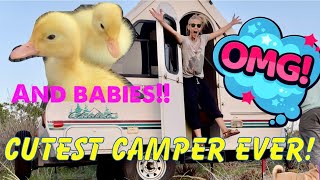 COME AND TOUR INSIDE MY A FRAME CAMPER I BOUGHT OFF FACEBOOK MARKETPLACE [upl. by Domash104]