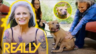 Potential Adopter Instantly Falls In Love With Stray Dog Kiesha  Pit Bulls amp Parolees [upl. by Wynnie952]