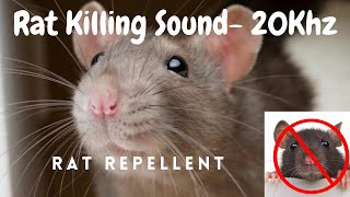 Anti Rat Repellent  Mouse Killer Sound  Very High Pitch Sound  20Khz  Kill Rats using mobile [upl. by Ginger841]