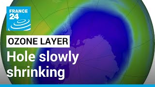 Ozone layer slowly healing may be restored within decades says UN • FRANCE 24 English [upl. by Naitsirt]