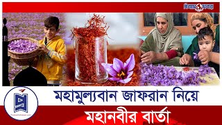 জাফরান সম্পর্কে মহানবী সাঃ যা বলে গিয়েছিলেন  Saffron  Probash Khabor [upl. by Ocihc]