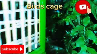 Birds cage beautiful cage [upl. by Nahn]