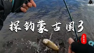 探钓蒙古国3 高山溪流 细鳞鲑钓鱼 fishing 自然 [upl. by Omsare959]