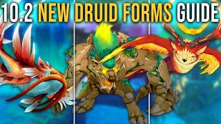 Complete Guide to All New Druid Forms in Patch 102 Guardians of the Dream WoW [upl. by Fulmer831]