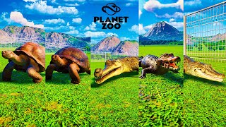 Giant Tortoise vs Aldabra Giant Tortoise vs Gharial vs Cuvier Dwarf and Caiman  Planet Zoo [upl. by Maria]