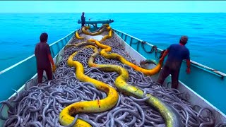 10 Cosas ATERRADORAS Encontradas Por Marineros y Pescadores en Alta Mar [upl. by Elish161]