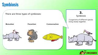 Science Cartoon Symbiosis Predation and Competition [upl. by Accever842]