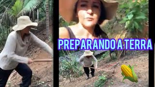 Preparando a terra para plantar milhoadubando com calcário [upl. by Adas]