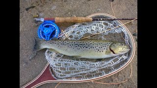 Silverwood Lake fly fishing  March 25 2018 [upl. by Yarahs]