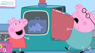 Peppa Goes Through Airport Security 🛃  Peppa Pig Official Full Episodes [upl. by Aiselad]