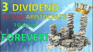 3 Dividend Stocks to Buy Now FUTURE Aristocrats [upl. by Nivlem]