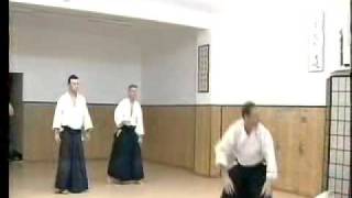 Aikido  Peter Bernath Sensei 7th Dan Randori [upl. by Nedyaj]