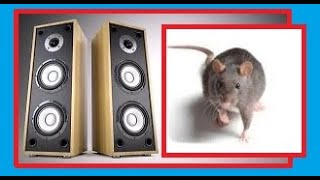 Ultrasound specifically designed to keep mice away from your home  really effective [upl. by Aldrich]