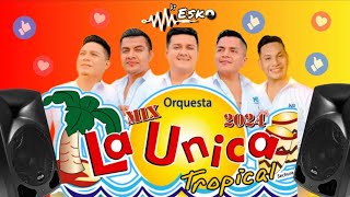 Mix La Unica Tropical  2024   Partidos en Dos  Si Esta Casa Hablara  Asesina y mas   Dj Esko [upl. by Clorinda483]