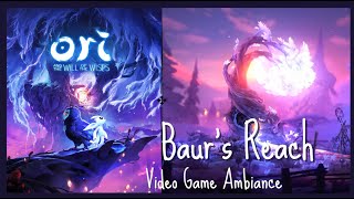 Baurs Reach  Ori and the Will of the Wisps  Relaxing Video Game Ambiance OST No Commentary [upl. by Eunice]