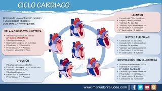 CICLO CARDÍACO fácil explicación  Ciclo cardíaco fisiología  Ciclo cardíaco resumen [upl. by Leanor]