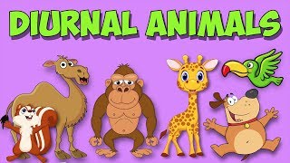 Diurnal Animal Song [upl. by Atekan856]