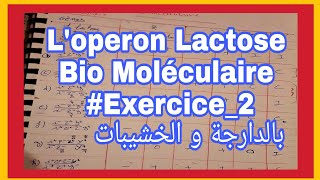 La biologie moléculaire exercice 2 série 2 Loperon lactose darija les cas dexpressions des lacs [upl. by Ynohtnaed]