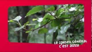 Le CG67 cest aussi les aidants naturels CG67 [upl. by Ycrad]