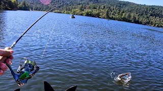 TROUT Fishing with Spoons and 2quot Minnows Including Tips amp Tricks [upl. by Akcired686]