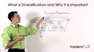 Understanding Diversification in Stock Trading to Avoid Losses [upl. by Aldora]